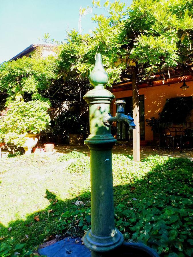 Bosco  Villa Marina מראה חיצוני תמונה